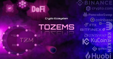 Tozems – Blockchain Investment Strategie